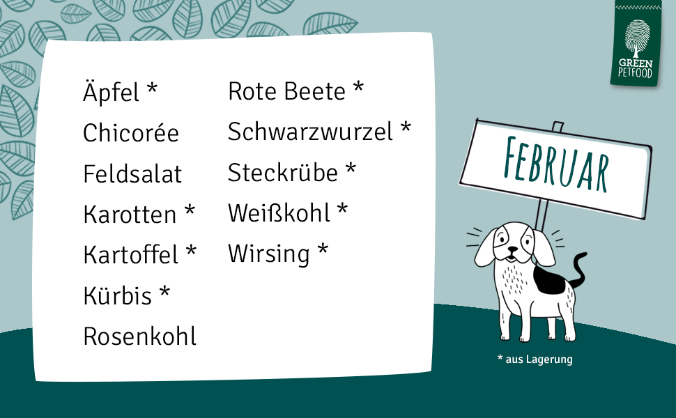rohe zucchini hund