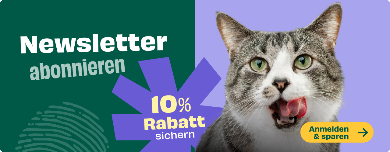 Banner für Newsletter