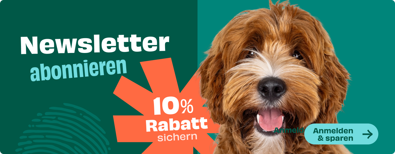 Banner für Newsletter