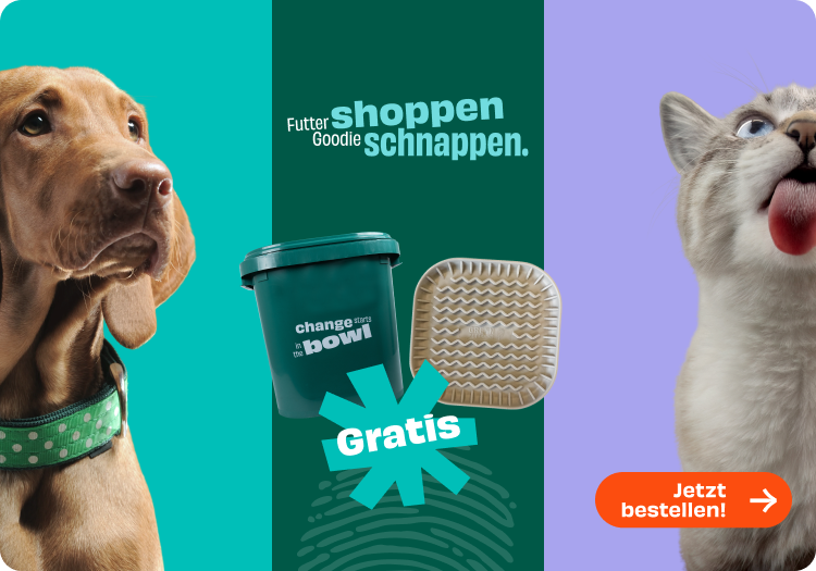 Aktion für Hund und Katze