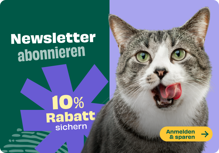 Banner für Newsletter