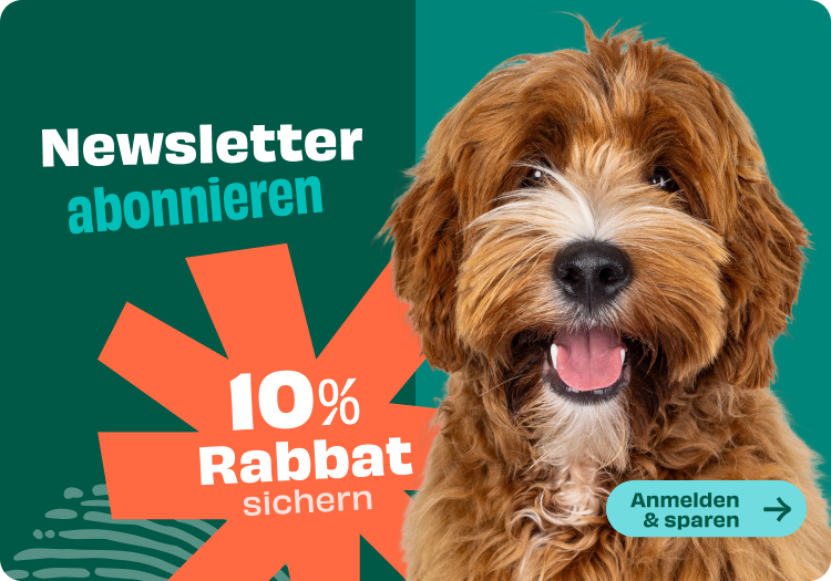 Banner für Newsletter