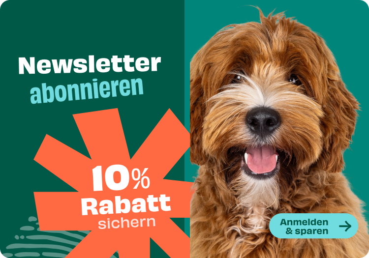 Banner für Newsletter