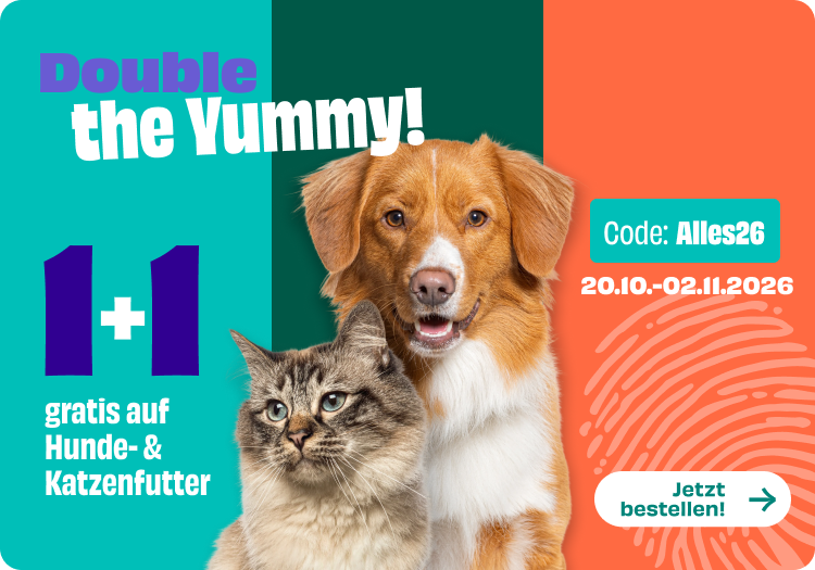 Aktion für Hund und Katze