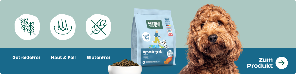 Produktbanner Green Petfood InsectDog Hypoallergenic