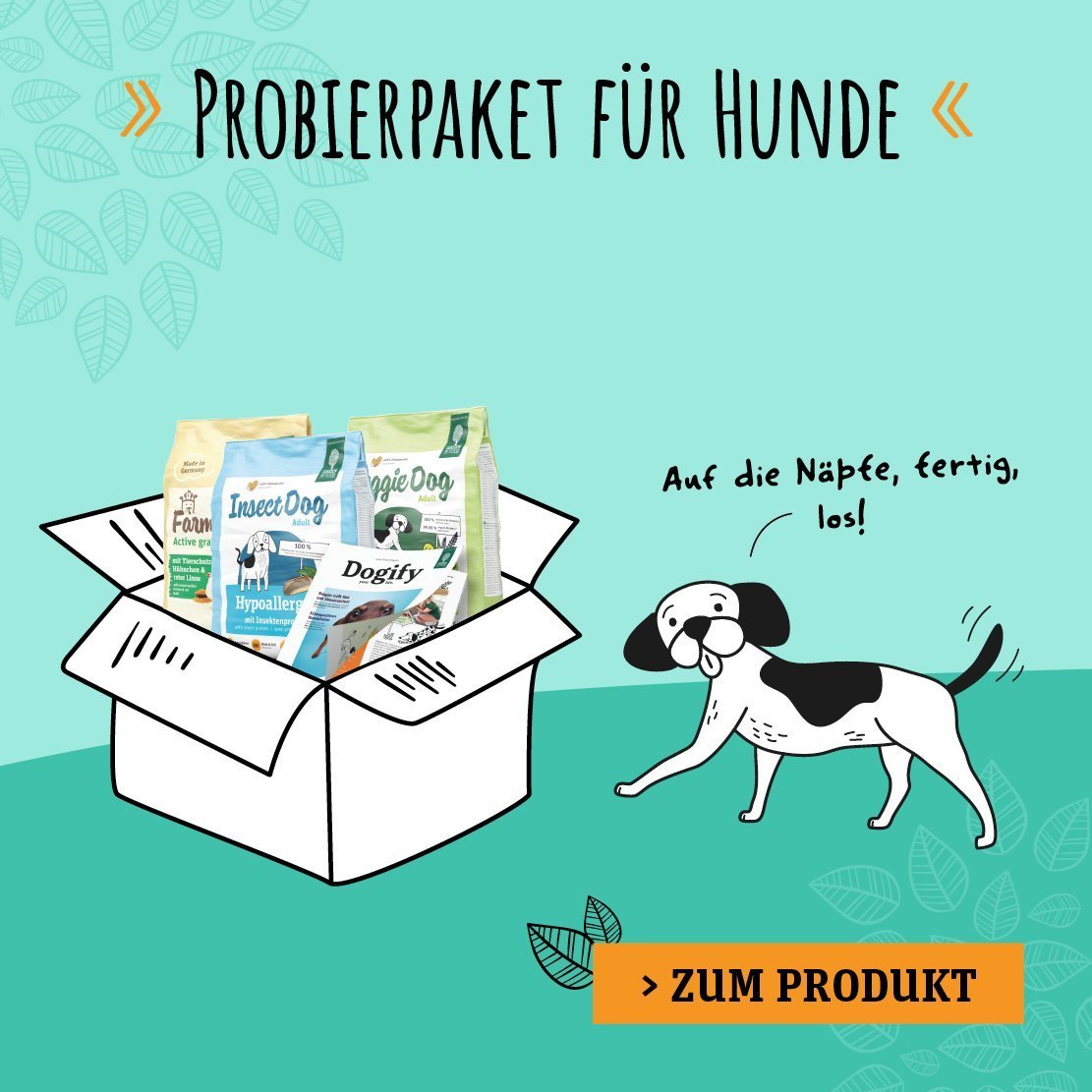 Produktbanner Green Petfood Probierpaket Hund