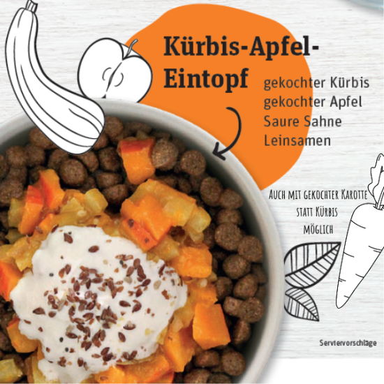 Kürbis-Apfel-Einfopf