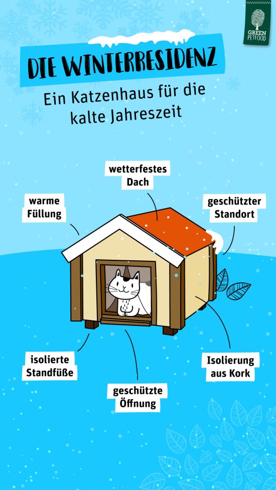 Katzen Temperatur Draußen