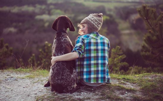 Hund_Wandern_shutterstock_402956746_Beitragsbild4