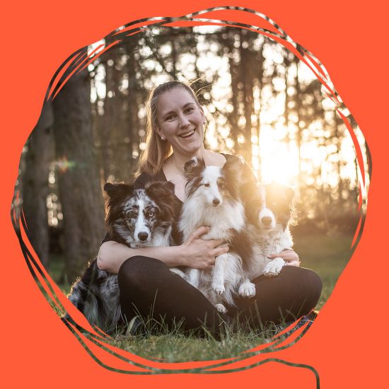 Vorlage-Blogger-Vorstellung