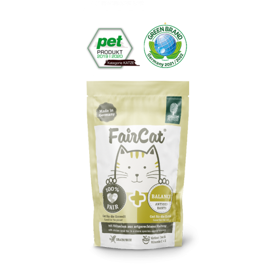 Was Katzen Nicht Essen Durfen 15 Tipps Fur Dich Und Deine Katze