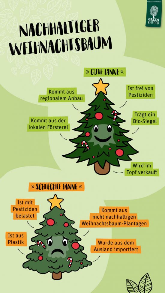 Infografik Nachhaltiger Weihnachtsbaum