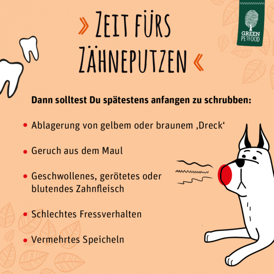Pfotendoctor_Zaehne