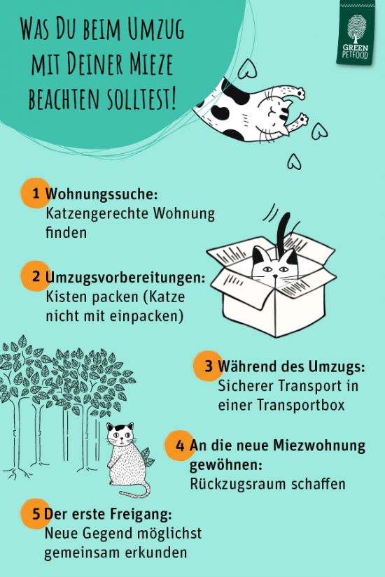 116_GPF_Infografik_Umzug_Katze_600x900