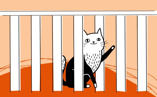 Plexiglas Balkonschutz Für Katzen