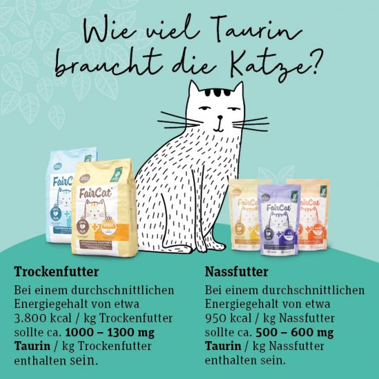 Infografik_GPF_Ernaehrung-Katze