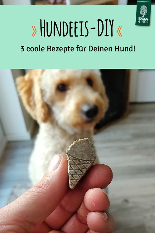 pin-hundeeis